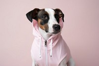 Dog dog pet sweatshirt. 