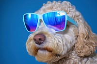 Dog pet sunglasses mammal. AI generated Image by rawpixel.