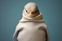 Bird sweater animal adult. AI generated Image by rawpixel.