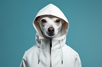 Dog sweatshirt animal mammal. AI generated Image by rawpixel.
