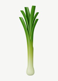 3D spring onion vegetable, collage element psd