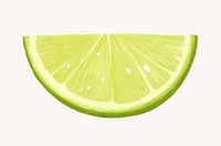 Lime, fruit illustration