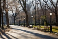 Blurred park backdrop, natural light