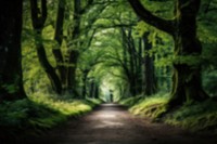 Blurred green forest backdrop, natural light