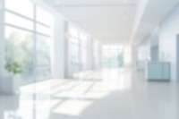 Blurred minimal white corridor backdrop, natural light