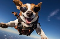 Dog sunglasses skydiving adventure. 