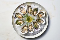 Oyster plate seafood clam. 