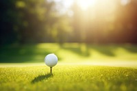 Golf ball on grass field. 