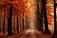 Autumn forest road red. AI generated Image by rawpixel.