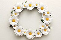 White daisy wreath flower plant inflorescence. AI generated Image by rawpixel.