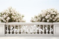 Balcony flower architecture building. 