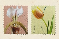 Vintage postage stamp  mockup psd