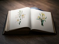 Vintage flower illustration on sketch book