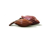 Plant fruit food leaf. AI generated Image by rawpixel.