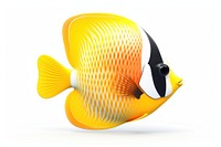Agel butterfly fish animal white background pomacentridae. AI generated Image by rawpixel.