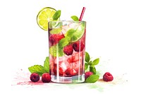 Cocktail mojito fruit raspberry. 