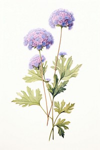 Ageratum Flower flower plant herbs. AI generated Image by rawpixel.