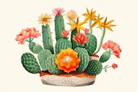 Cactus cartoon flower plant. AI generated Image by rawpixel.