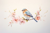 Bird blossom flower animal. 