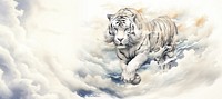 Tiger wildlife drawing animal. 