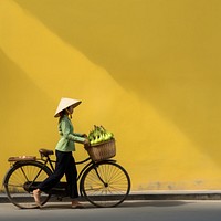 Bicycle vehicle basket street. 