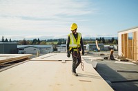 Builder hardhat helmet wood. 