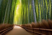Bamboo landscape outdoors nature. AI generated Image by rawpixel.