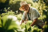 Senior garden gardening outdoors. 