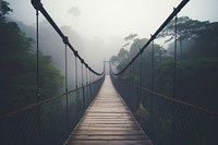 Bridge outdoors nature jungle. 