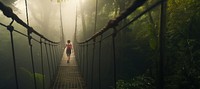 Bridge rainforest adventure outdoors. 