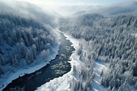 Forest river outdoors nature. 