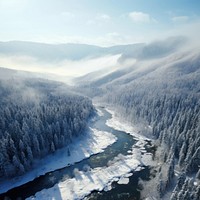 Forest river outdoors nature. 