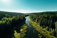 Forest river outdoors woodland. AI generated Image by rawpixel.