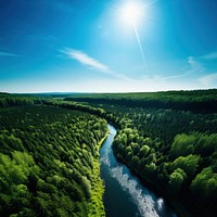 Forest river vegetation outdoors. 