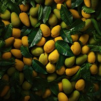 Jackfruit plant food leaf. 