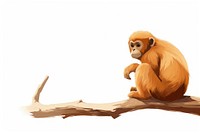 Monkey wildlife drawing animal. 