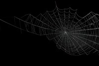 Spider web backgrounds complexity concentric. 