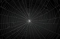 Spider web backgrounds concentric complexity