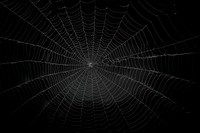 Spider web backgrounds complexity concentric. 