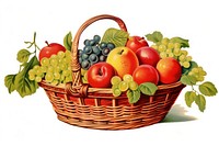 Fruit basket grapes plant food. 