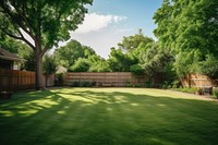 Backyard outdoors garden nature. 