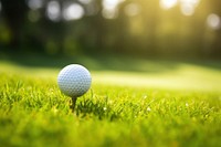 Golf ball outdoors sports nature. 