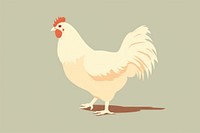 Chicken livestock poultry animal. 