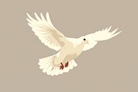 White pigeon flying wildlife animal bird. AI generated Image by rawpixel.