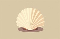 Shell seashell clam invertebrate. 