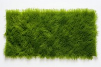 Green grass backgrounds plant lawn. AI generated Image by rawpixel.