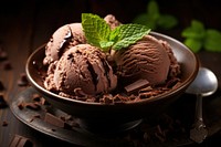 Chocolate ice cream dessert spoon food. 