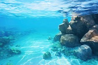 Tropical blue ocean underwater outdoors nature. 
