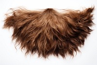 Disheveled brown beard hairstyle hedgehog cushion. 