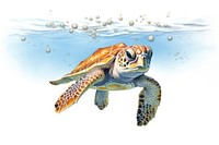 Baby sea turtle swimming reptile drawing. AI generated Image by rawpixel.